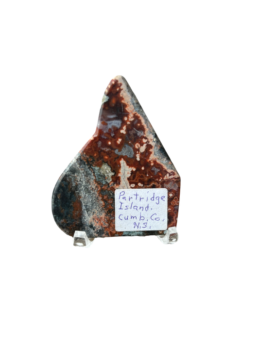 Bay of Fundy Variegated Jasper
