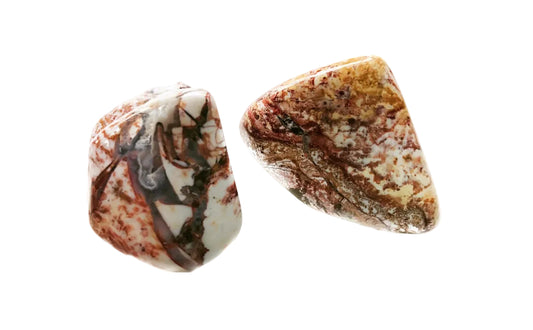Bay of Fundy tumbled agates