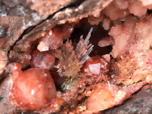 Crystals & Dinosaurs!