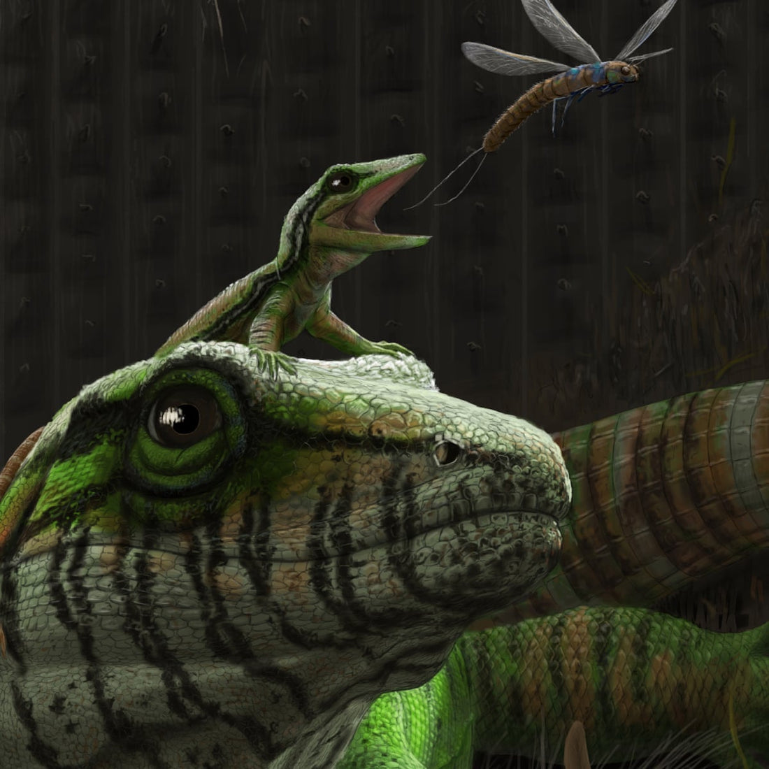 Fossil discovery of Dendromaia unamakiensis, a 309‑million‑year‑old specimen found in Cape Breton, Nova Scotia.