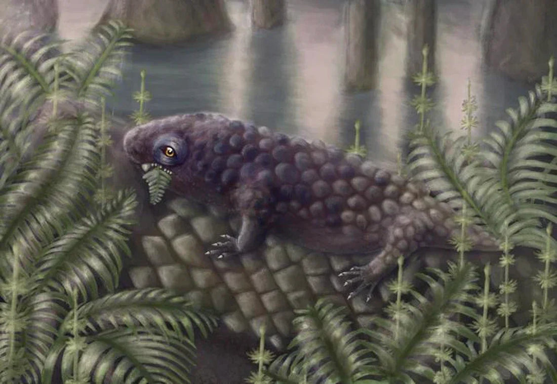 Meet Brian Hebert: Nova Scotia fossil hunter and namesake of a brand‑new prehistoric species