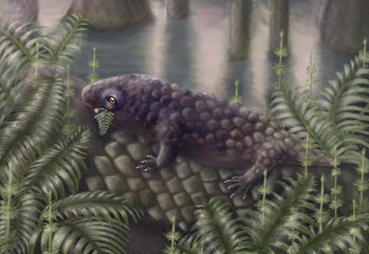 Meet Brian Hebert: Nova Scotia fossil hunter and namesake of a brand‑new prehistoric species