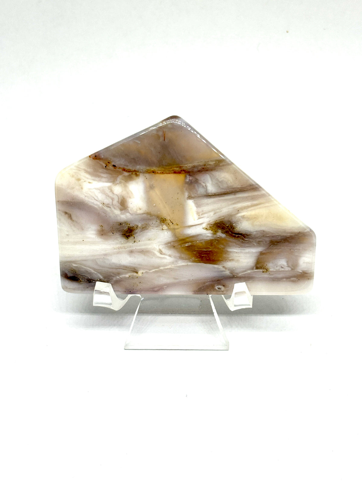 Bay of Fundy picture agate