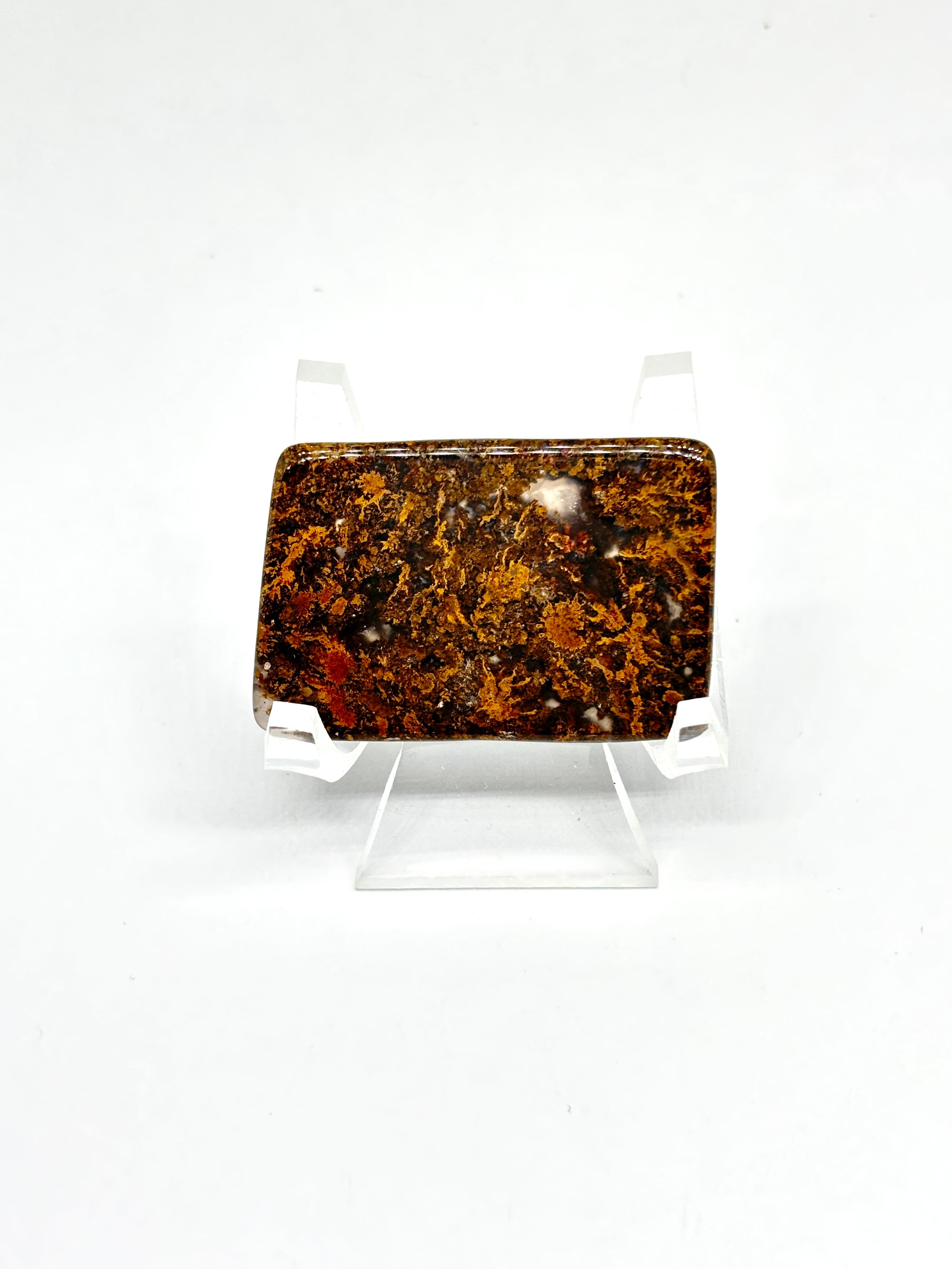 Bay of Fundy Golden Moss Agate