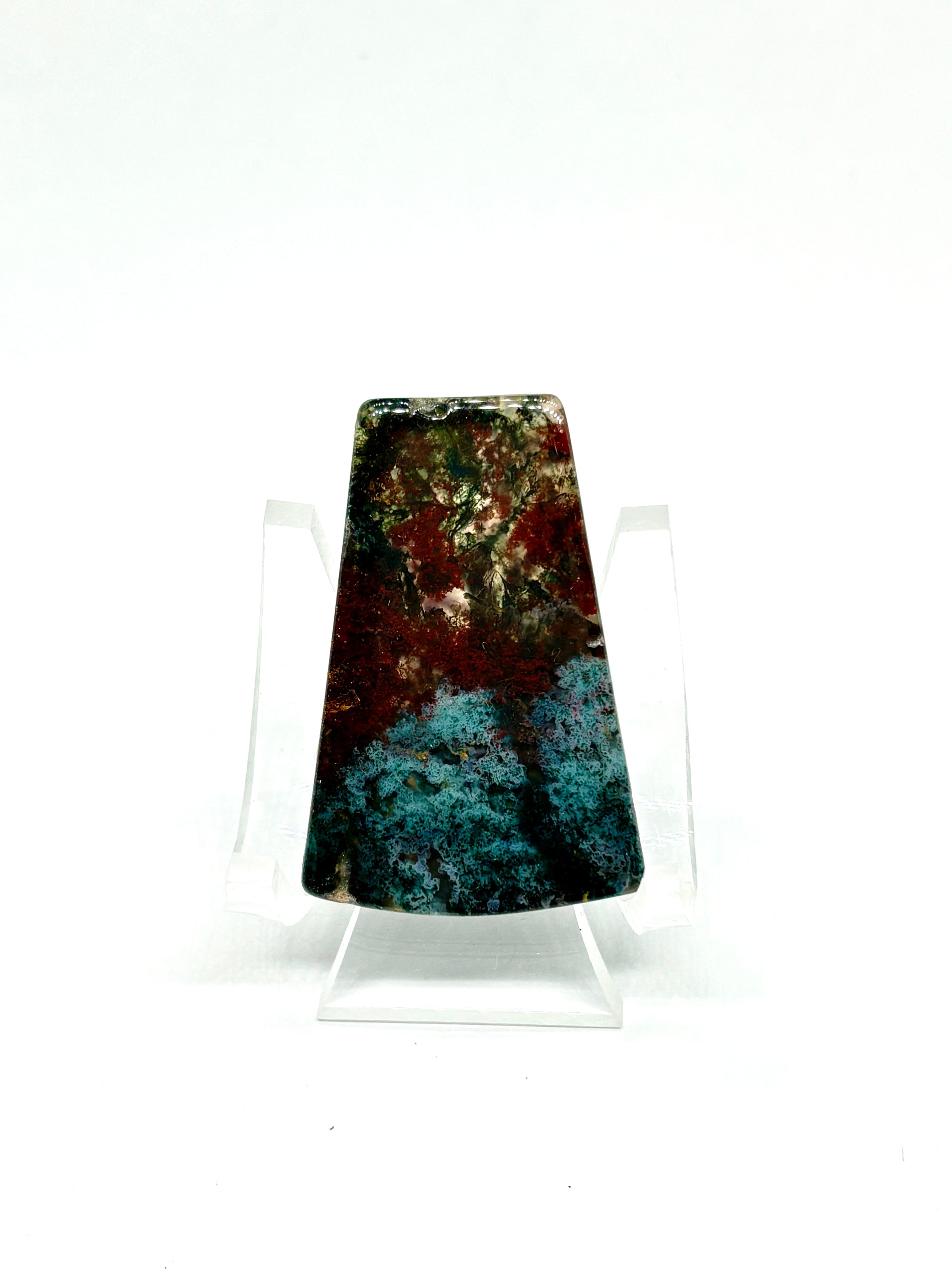 Bay of Fundy Bloodstone