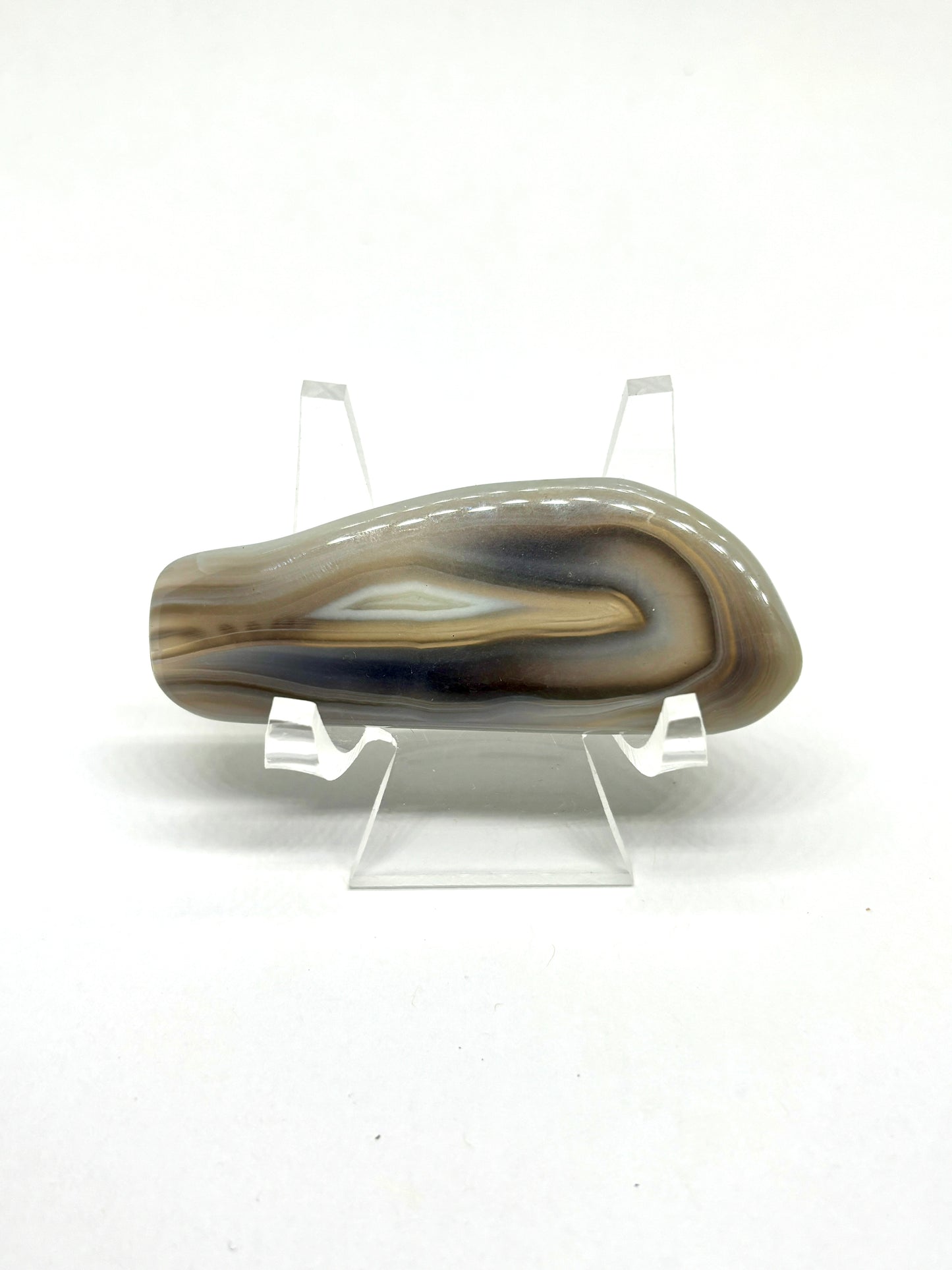 Bay of Fundy Banded Agate