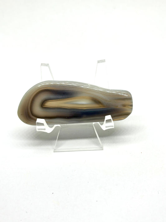 Bay of Fundy Banded Agate