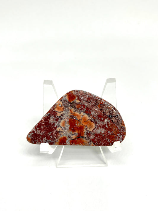 Bay of Fundy Brecciated Jasper
