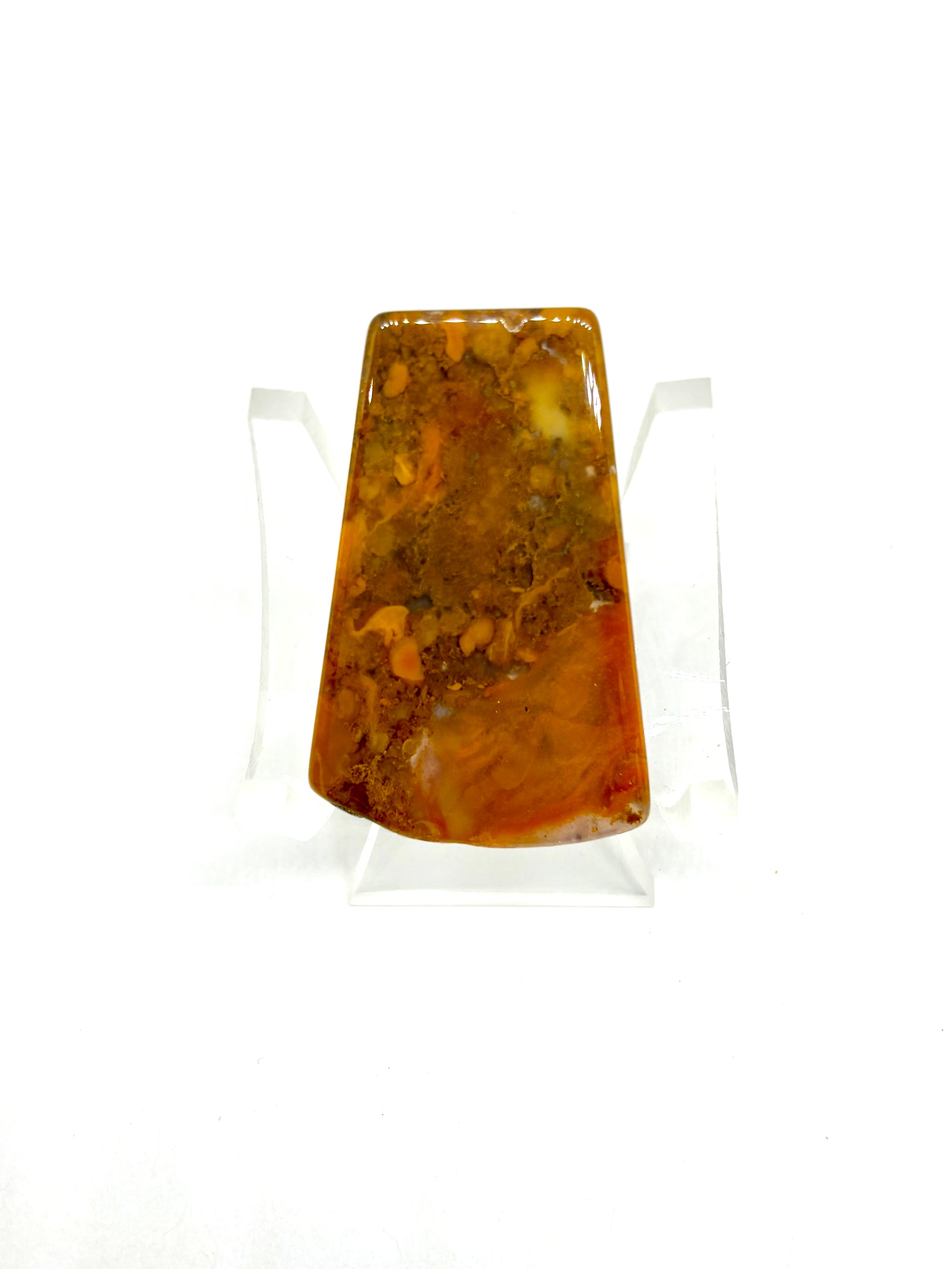 Bay of Fundy Yellow Brecciated Agate