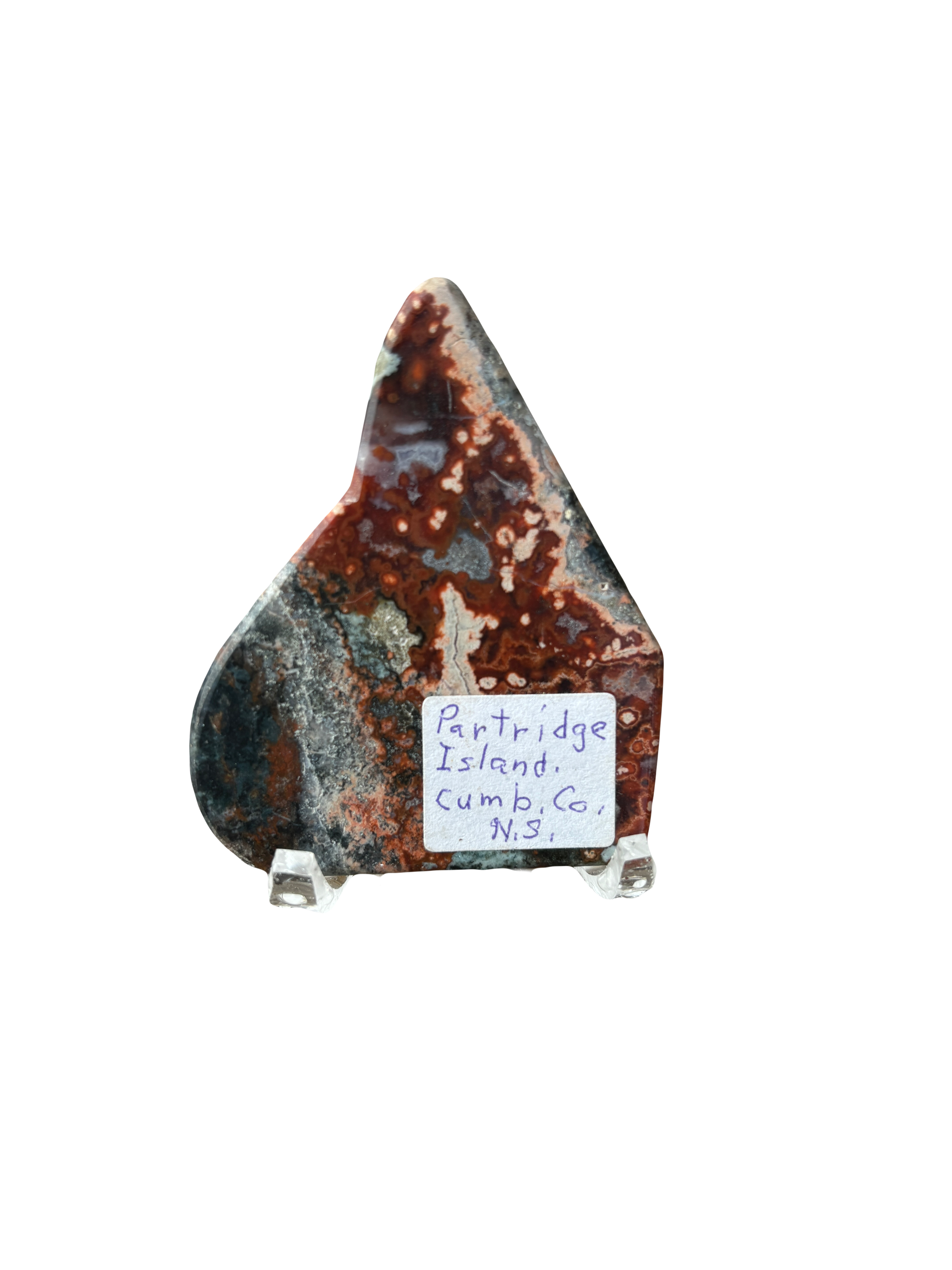 Bay of Fundy Variegated Jasper