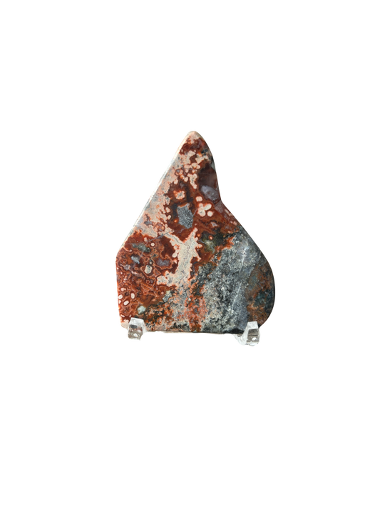 Bay of Fundy Variegated Jasper