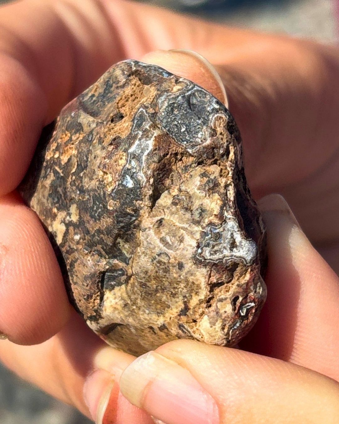 Journey into Gemstones, an Intro to Agates - Annapolis Valley