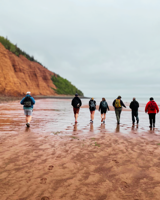 Gemstones in the Rough - Annapolis Valley