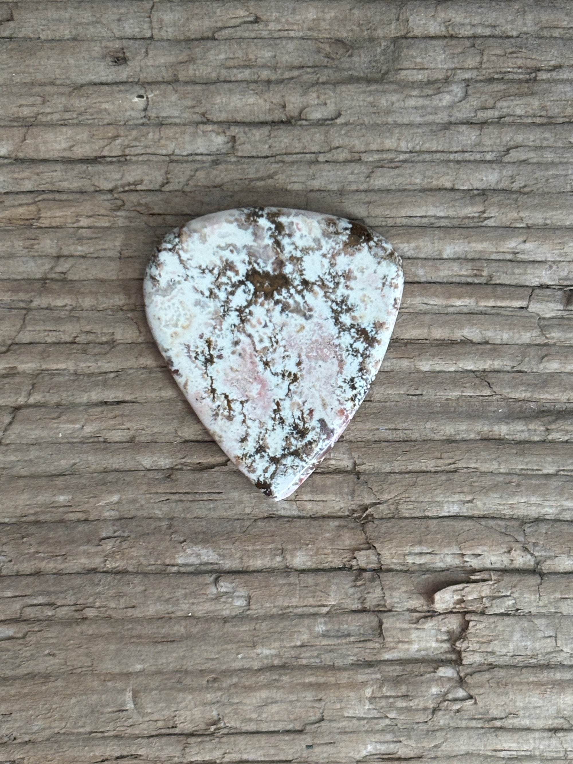 Bay of Fundy Stone Guitar Pick-Bay of Fundy White Porcelain Jasper