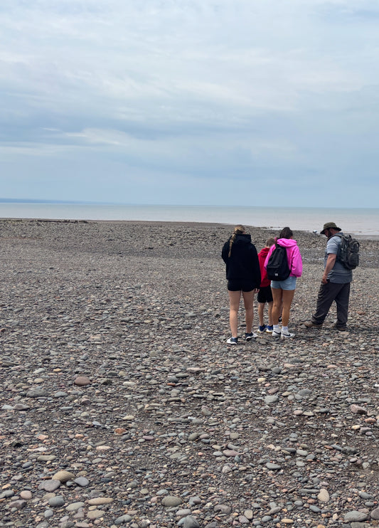 Journey into Gemstones, an Intro to Agates - Annapolis Valley