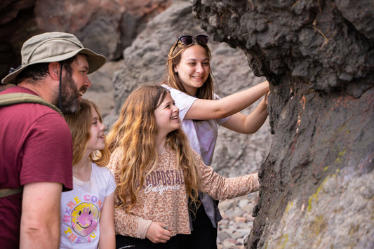 Crystals & Dinosaurs!