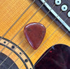 Bay of Fundy Stone Guitar Pick- Red Moss Agate