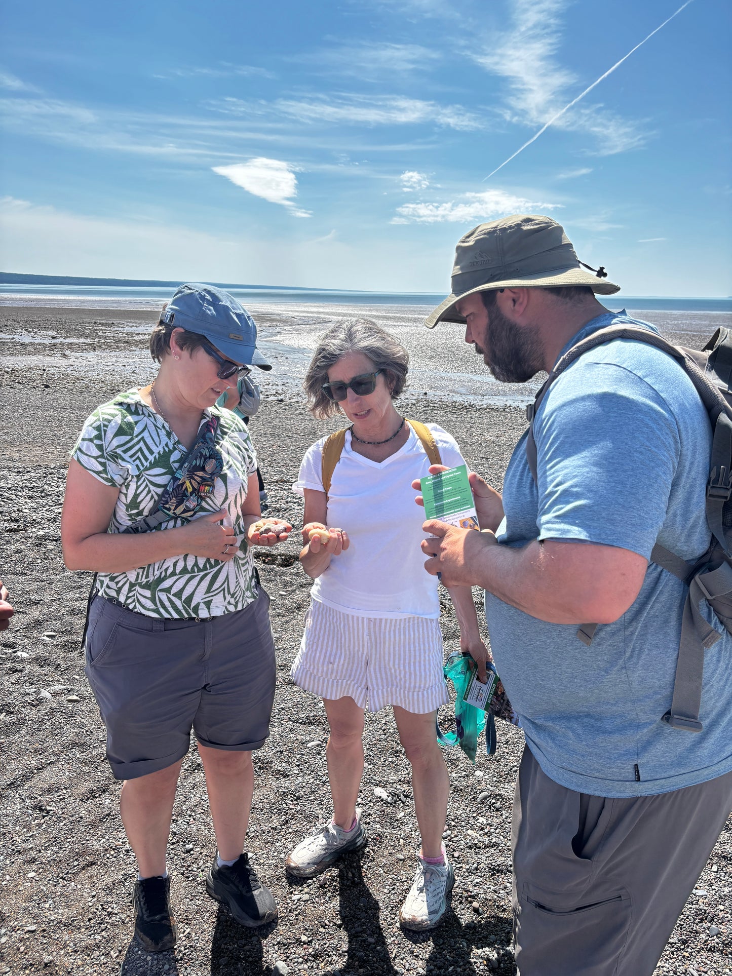 Journey into Gemstones, an Intro to Agates - Annapolis Valley