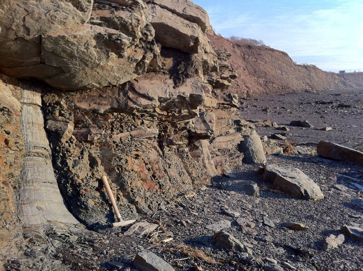 Ocean Floor Fossil Tour