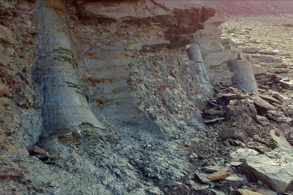 Ocean Floor Fossil Tour