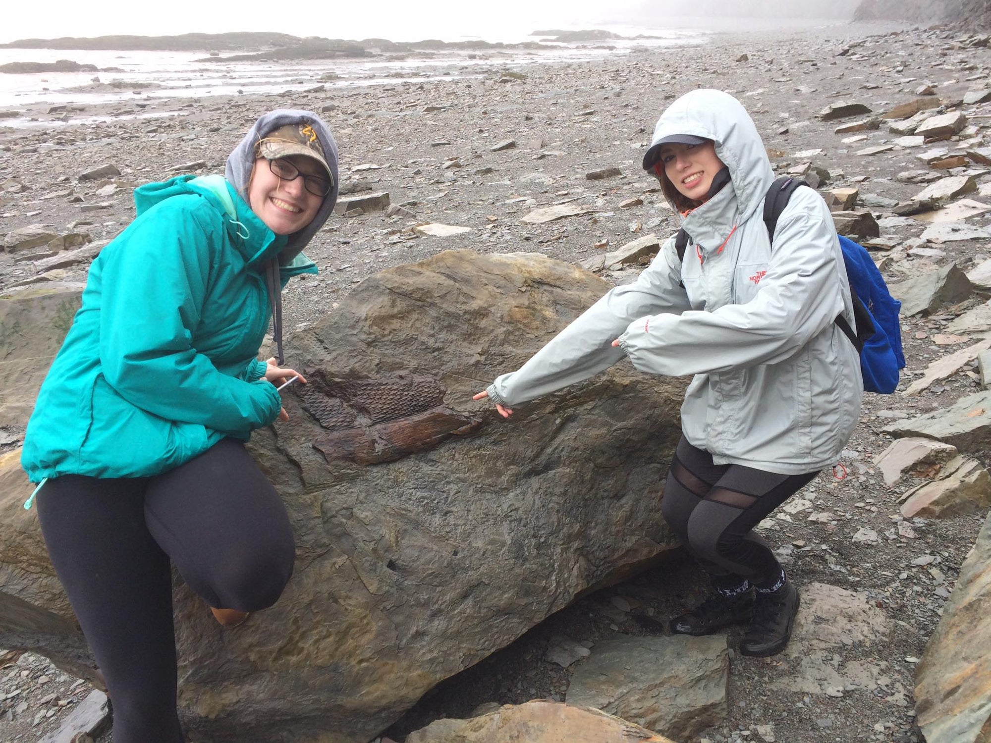 Fossil Forest Expedition - 4 hrs.