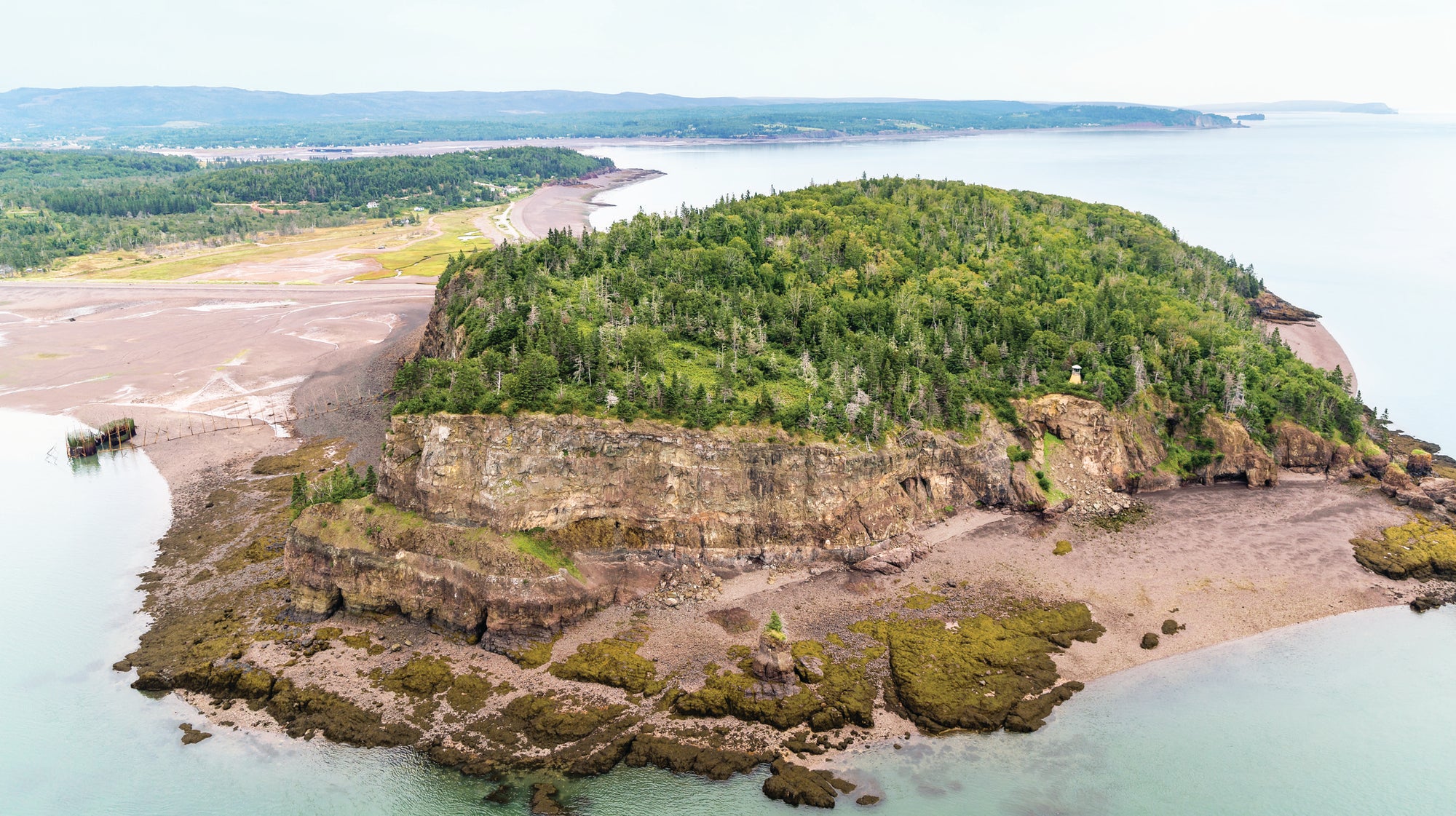 Treasure Island Gem &amp; Mineral Tour- 1.5 hr.