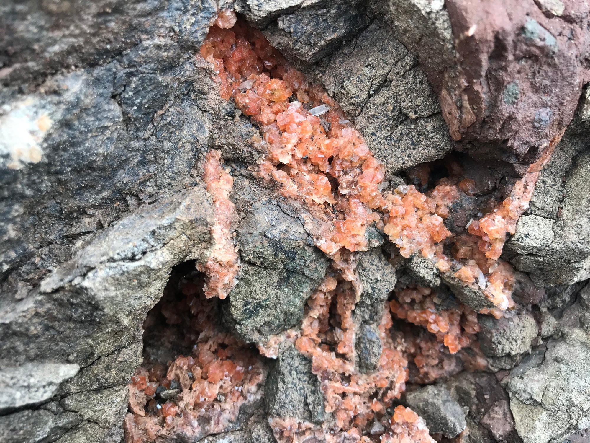 Crystals &amp; Dinosaurs! - 4 hrs.