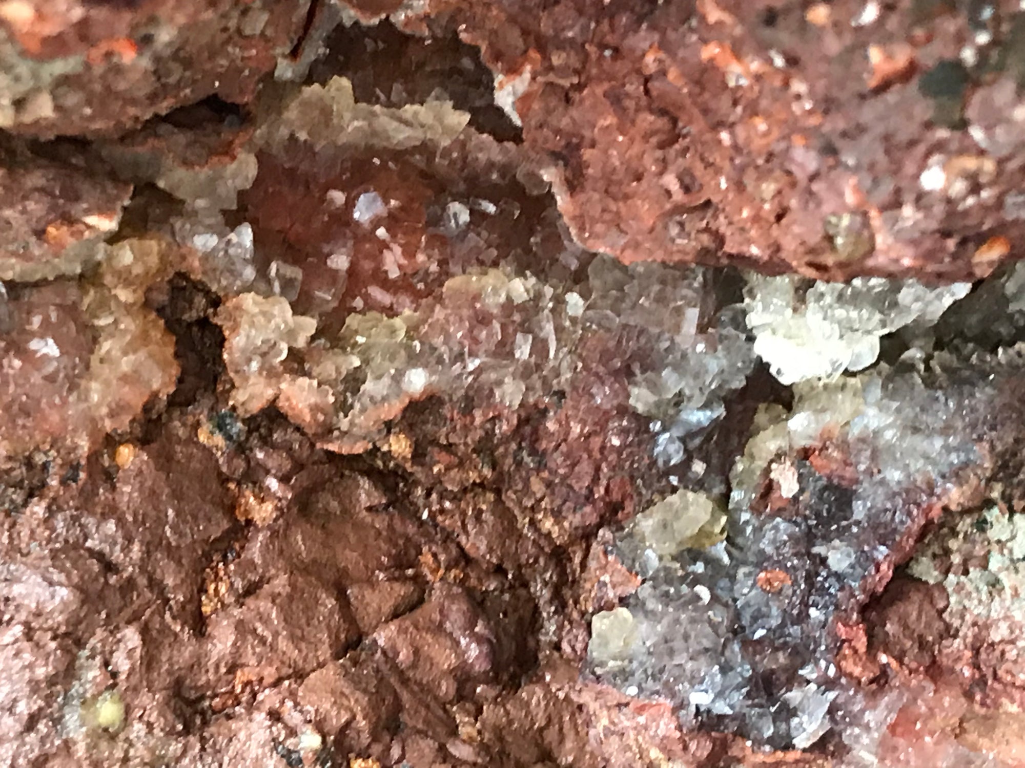 Crystals &amp; Dinosaurs! - 4 hrs.