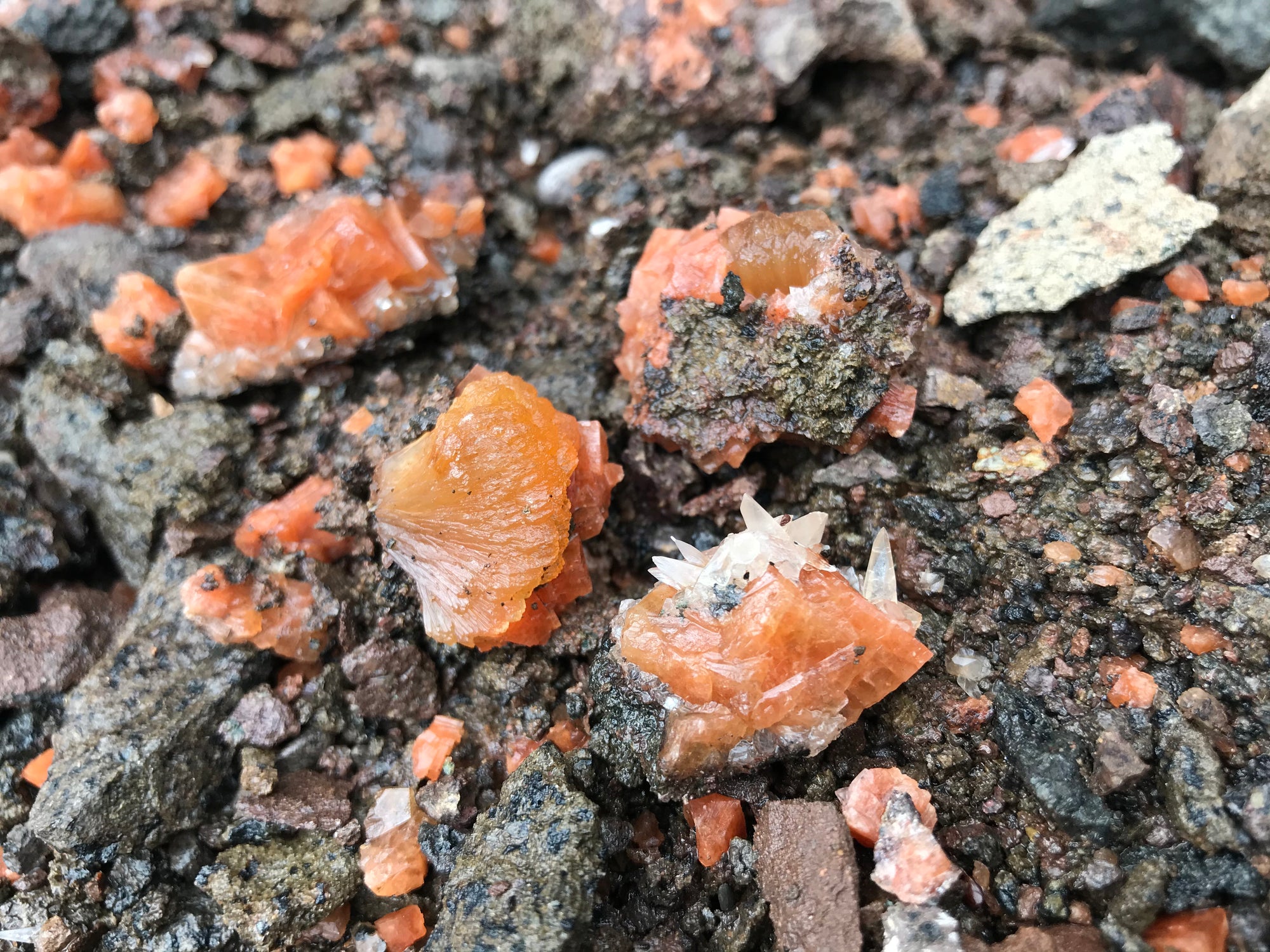 Crystals &amp; Dinosaurs! - 4 hrs.