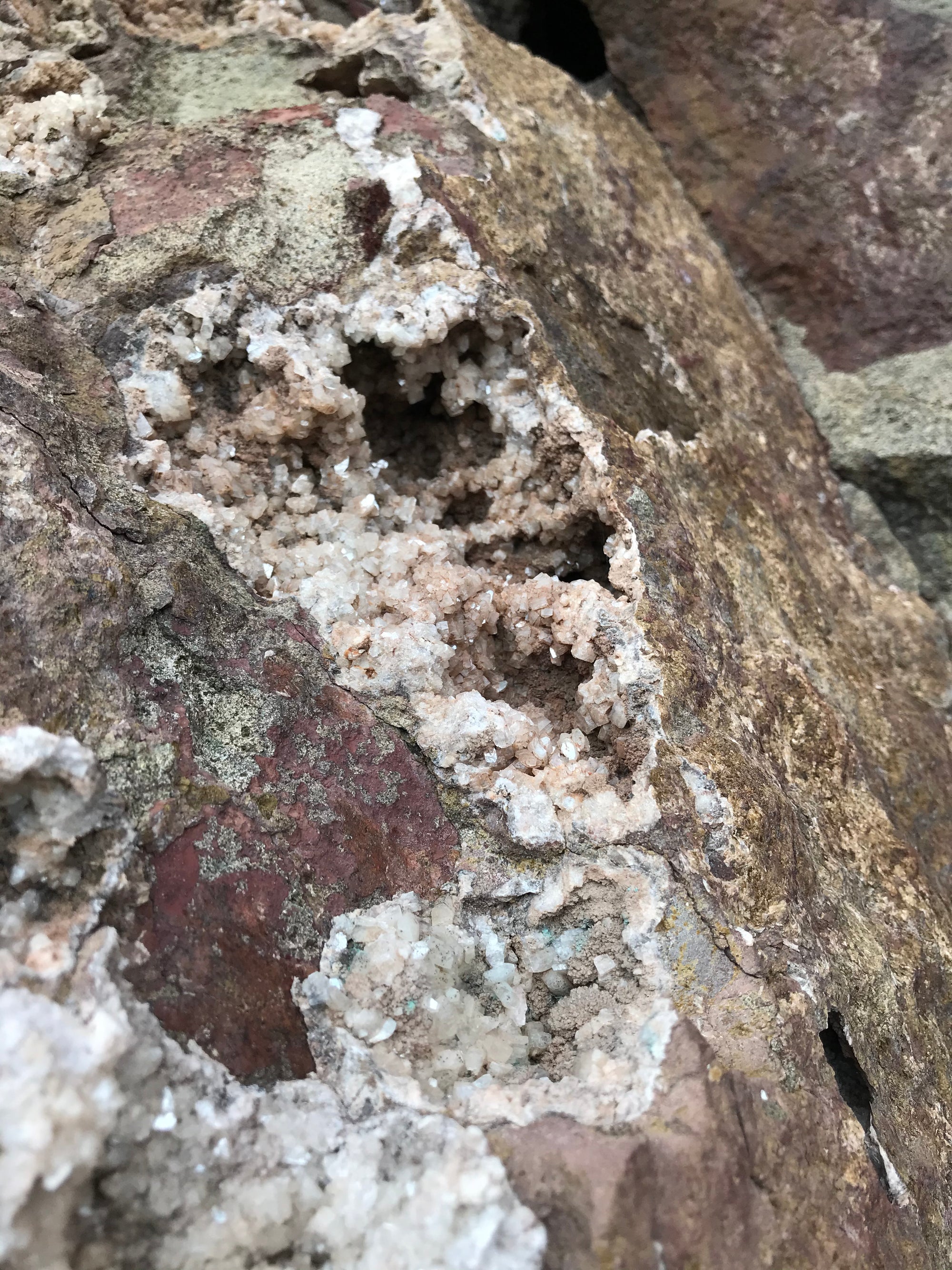 Crystals &amp; Dinosaurs! - 4 hrs.