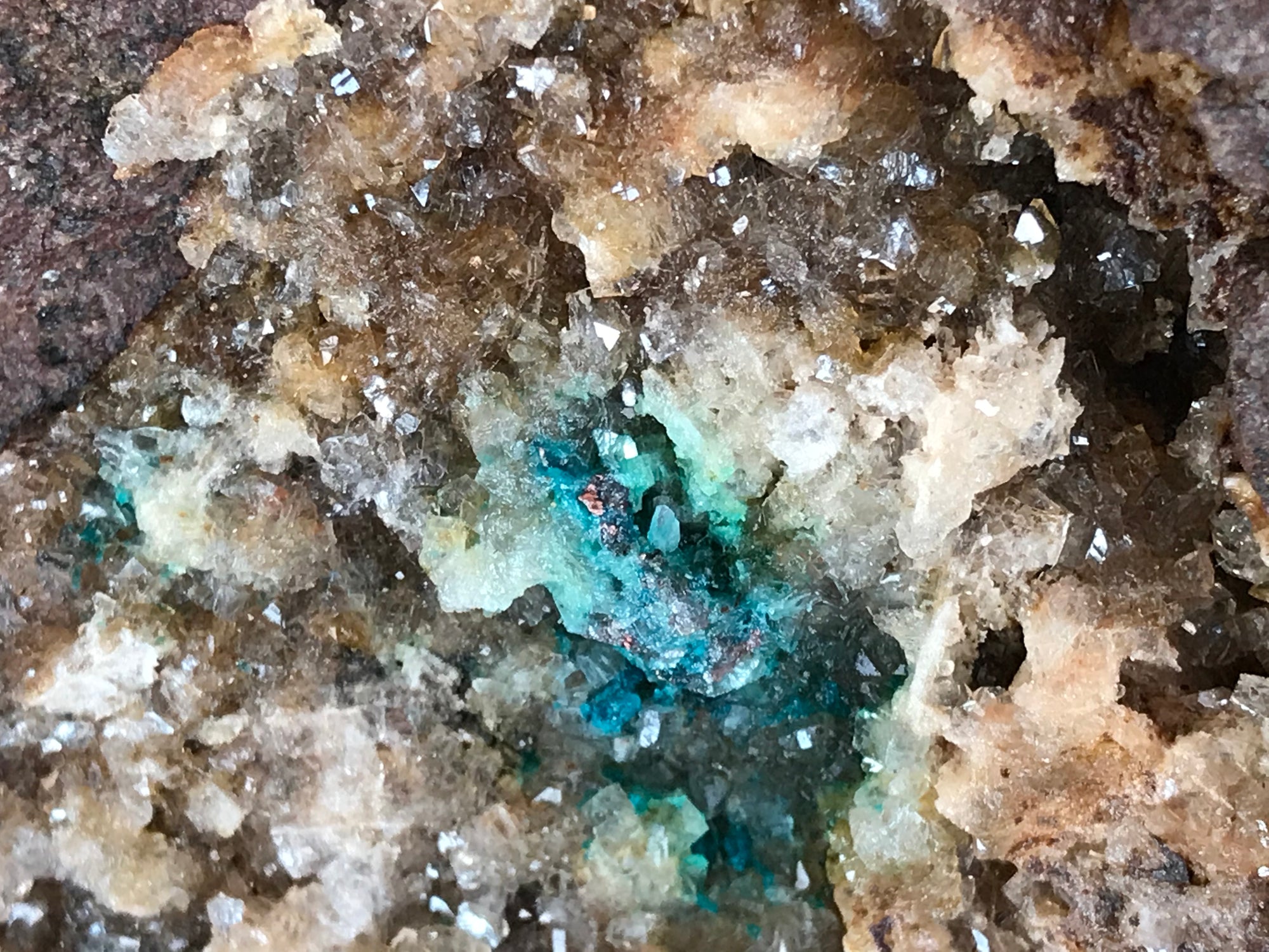 Crystals &amp; Dinosaurs! - 4 hrs.