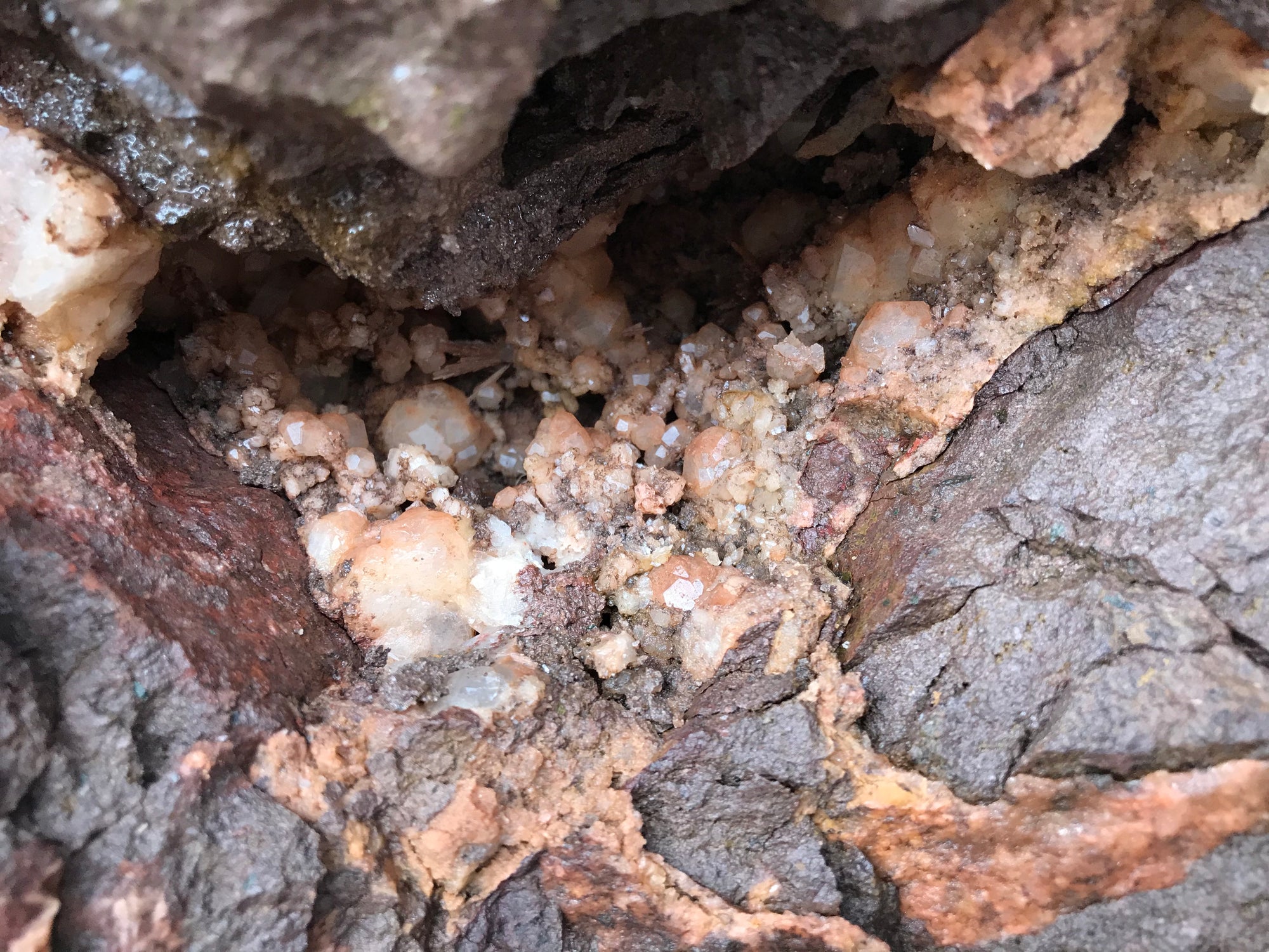 Crystals &amp; Dinosaurs! - 4 hrs.