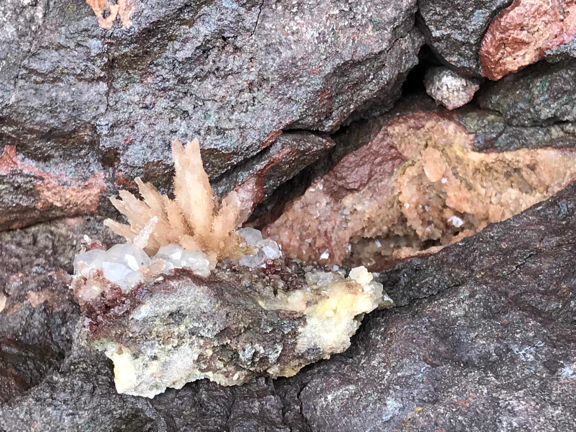 Crystals &amp; Dinosaurs! - 4 hrs.