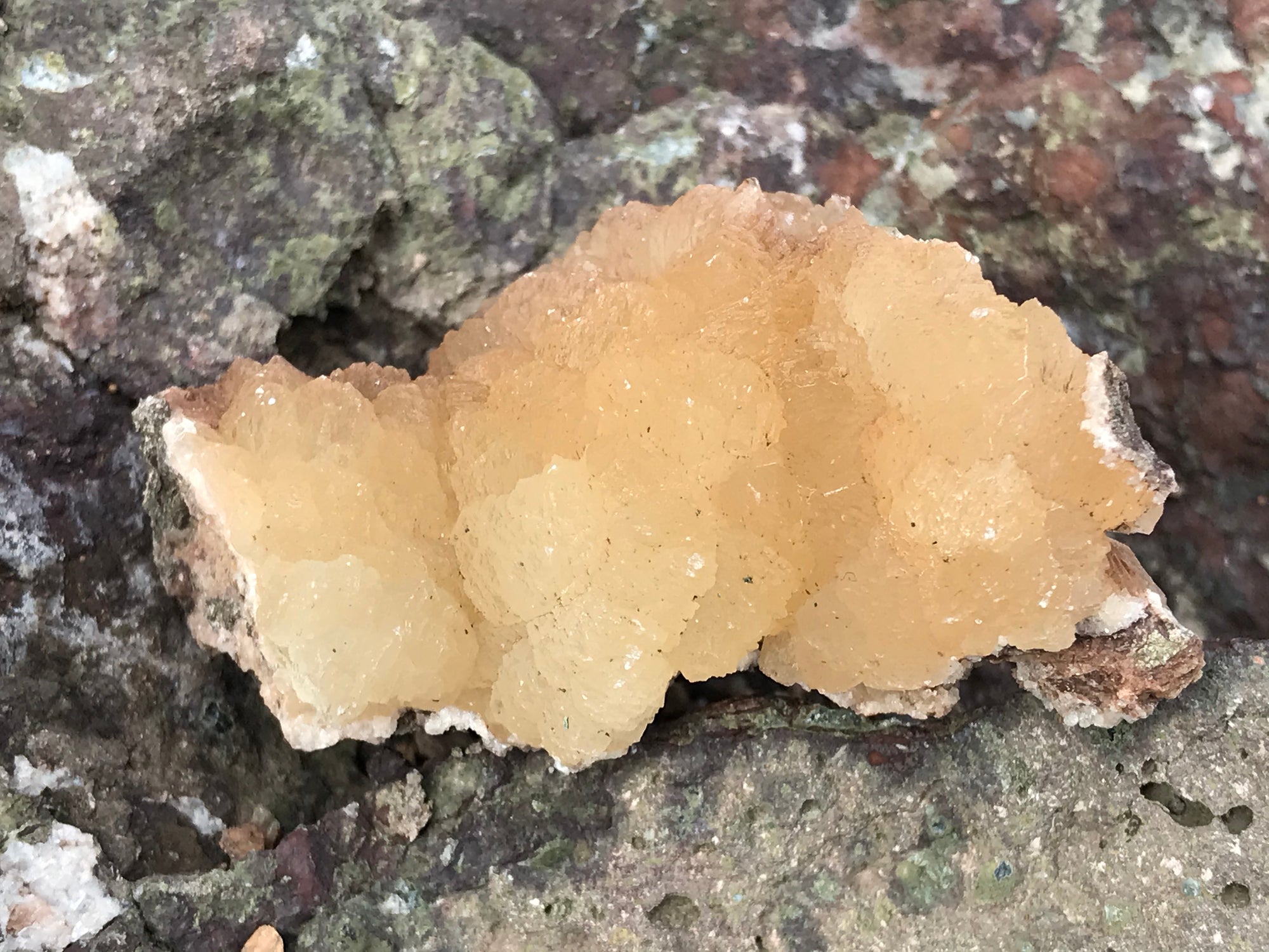 Crystals &amp; Dinosaurs! - 4 hrs.