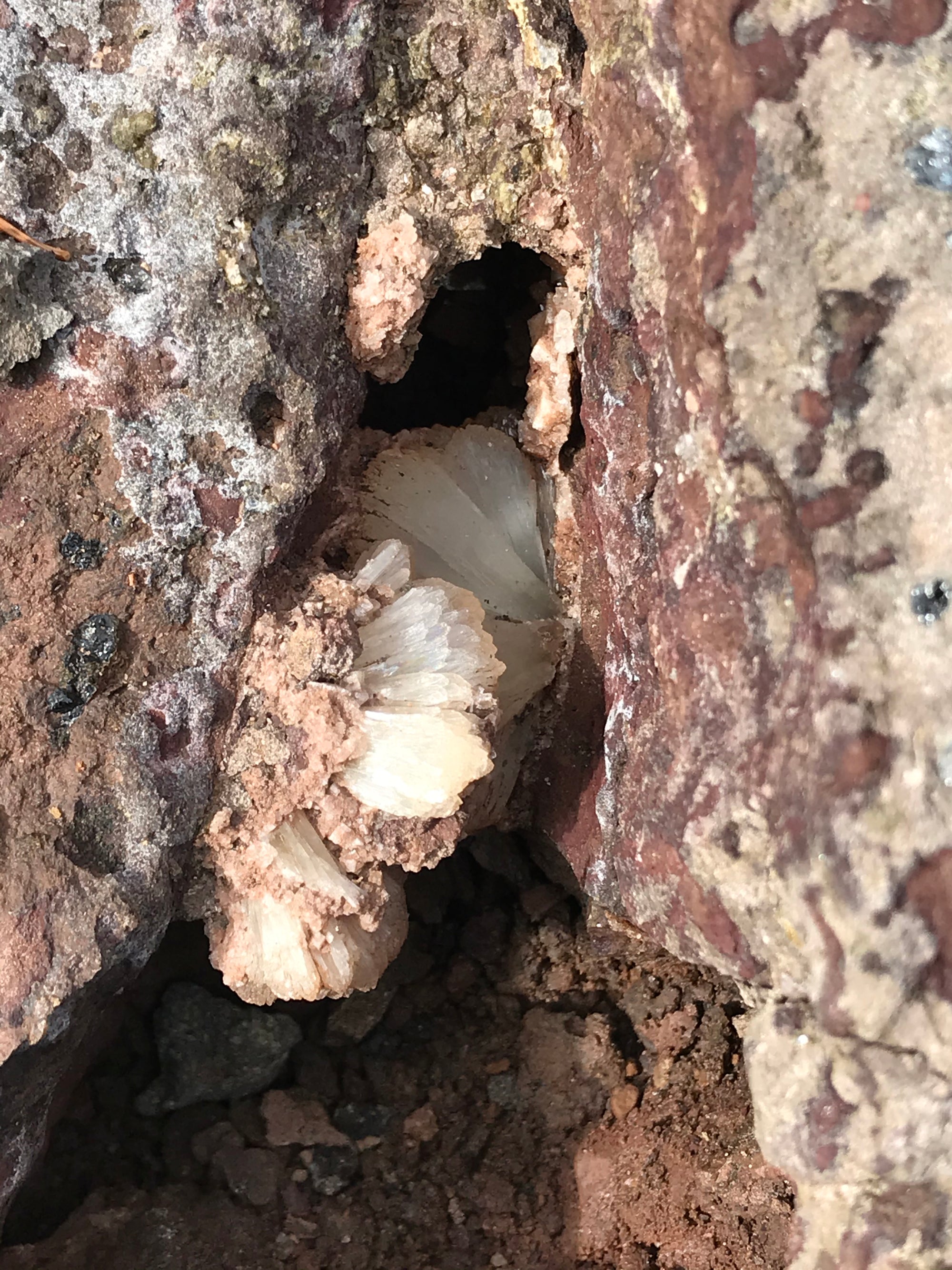 Crystals &amp; Dinosaurs! - 4 hrs.