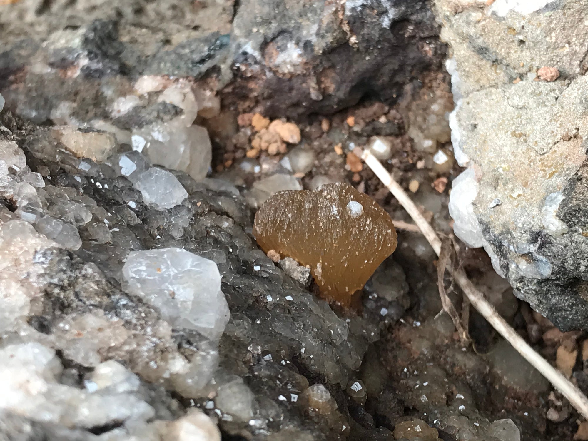 Crystals &amp; Dinosaurs! - 4 hrs.