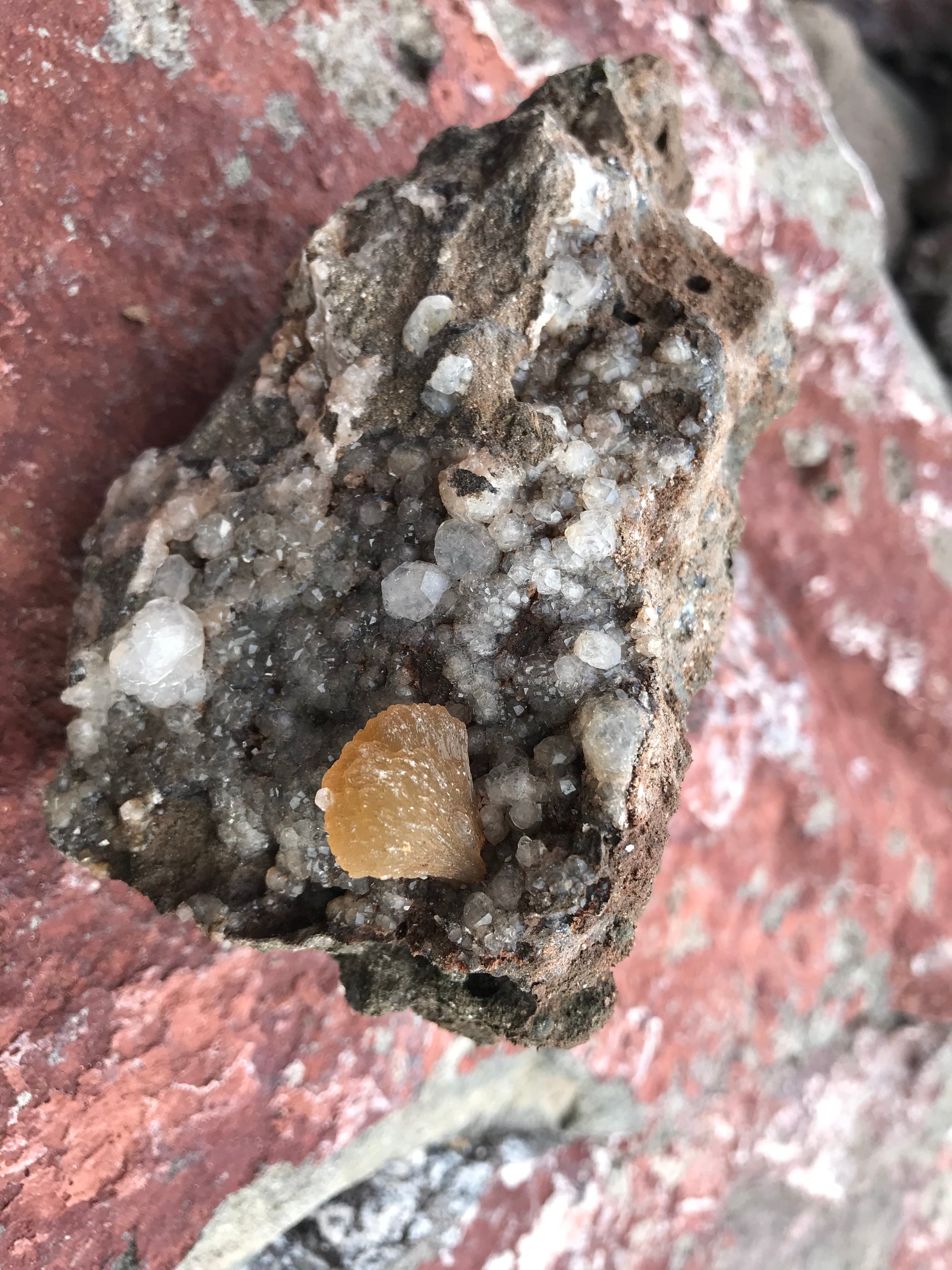 Crystals &amp; Dinosaurs! - 4 hrs.