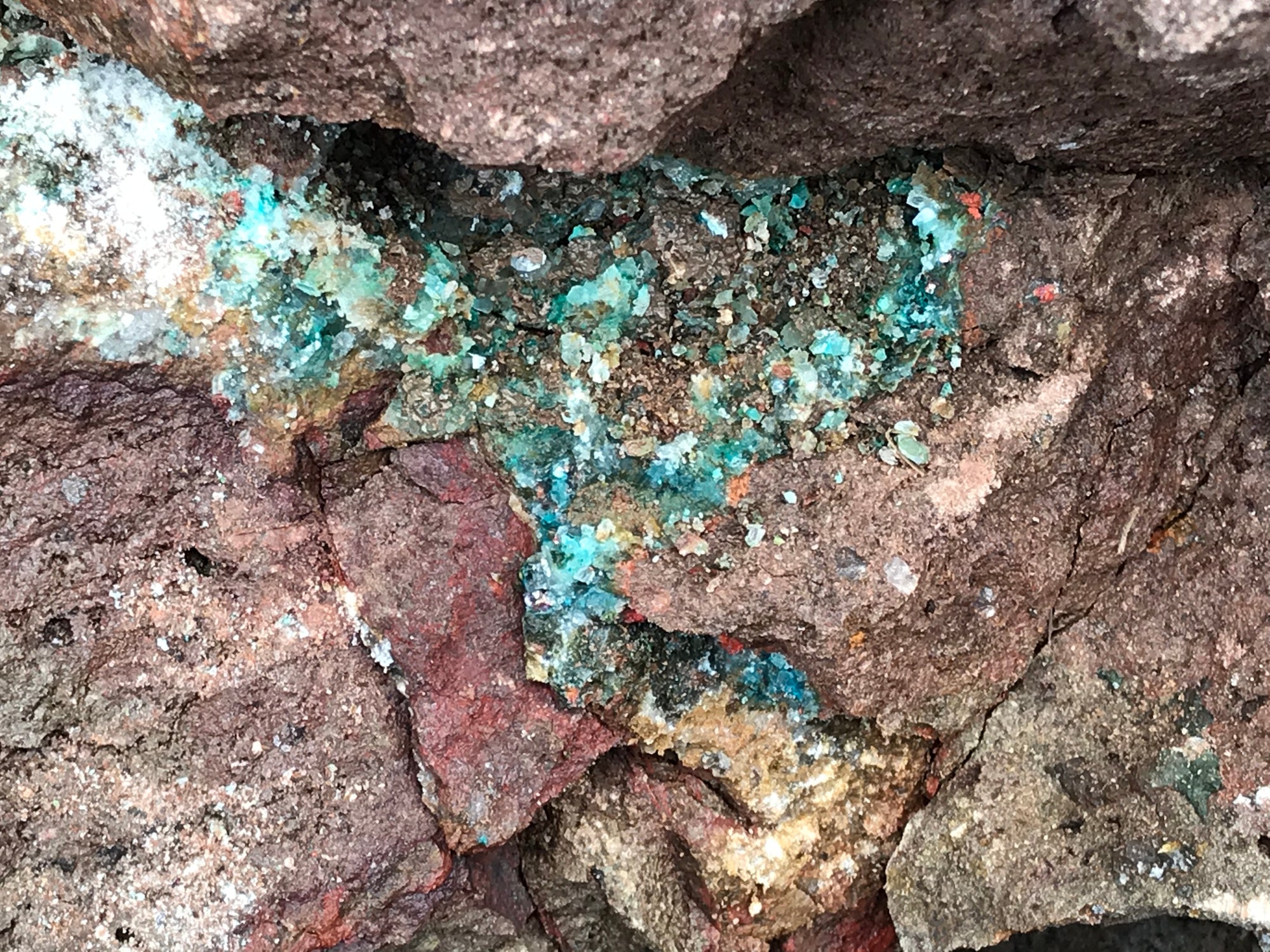 Crystals &amp; Dinosaurs! - 4 hrs.