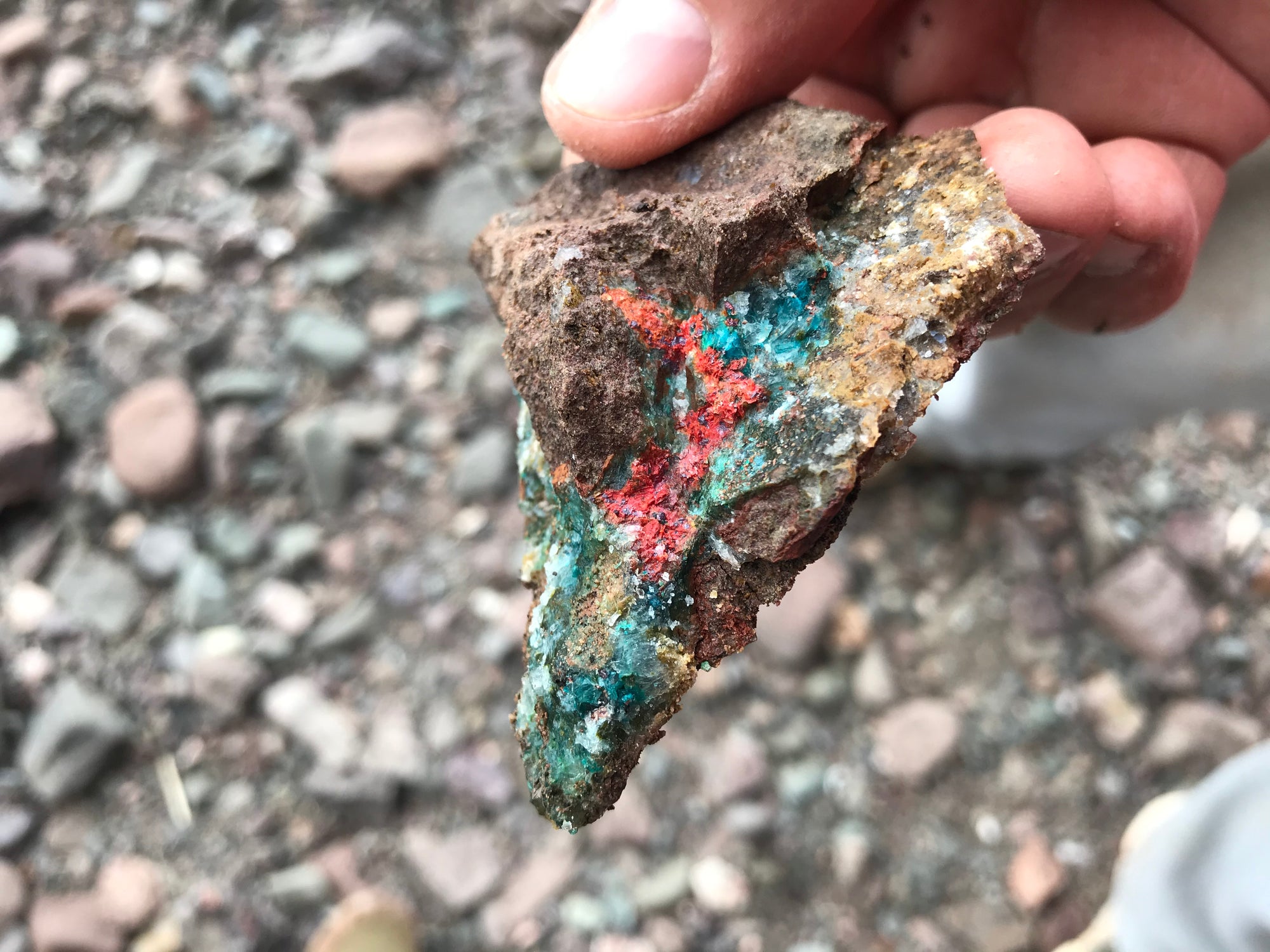 Crystals &amp; Dinosaurs! - 4 hrs.