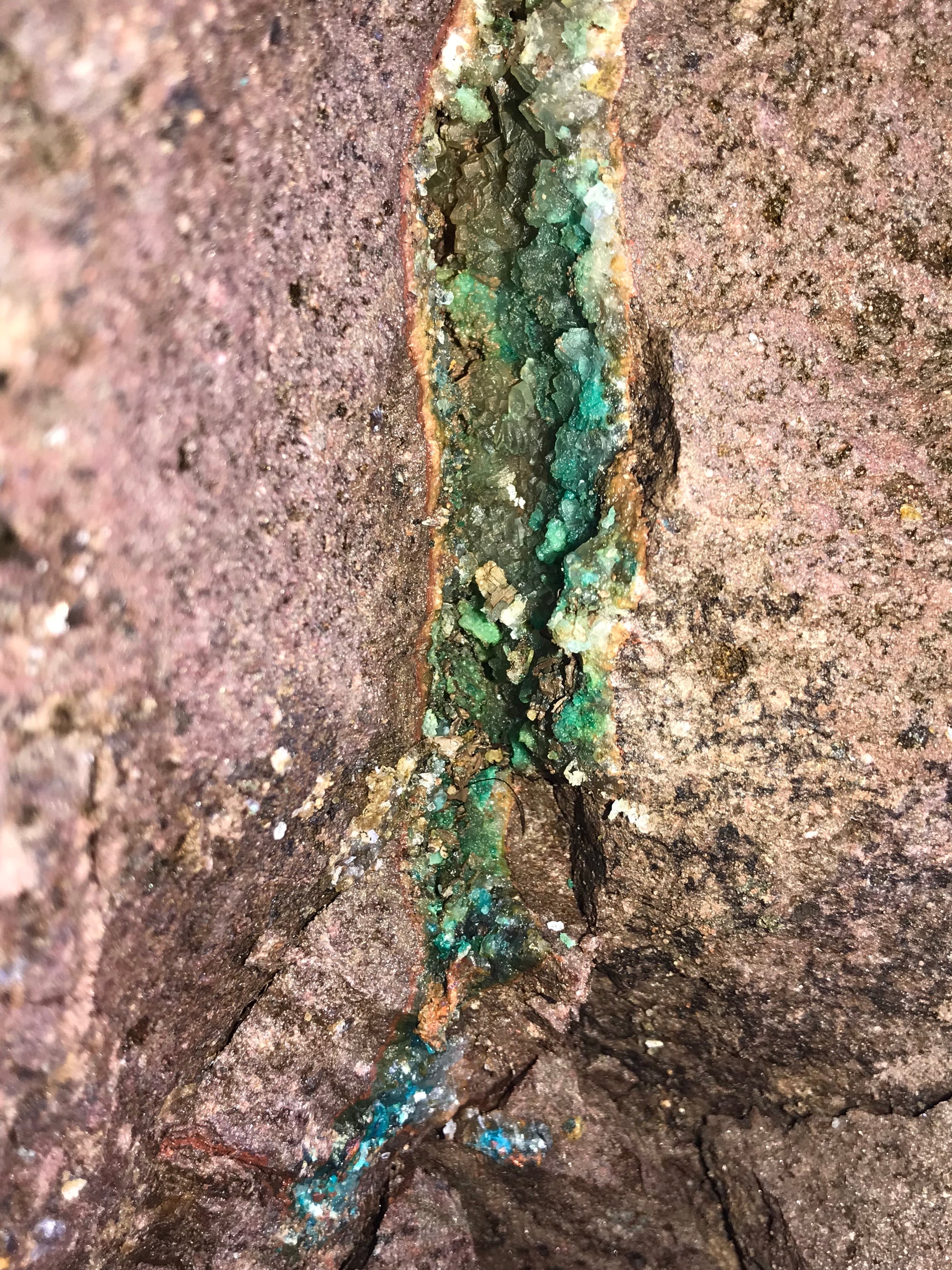 Crystals &amp; Dinosaurs! - 4 hrs.