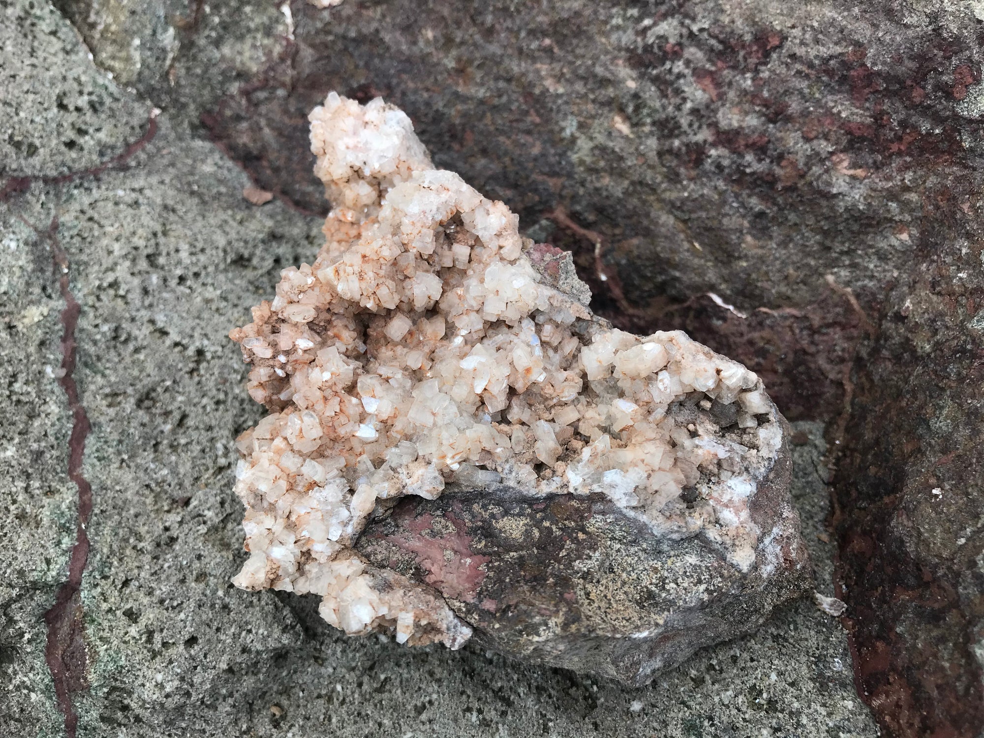 Crystals &amp; Dinosaurs! - 4 hrs.