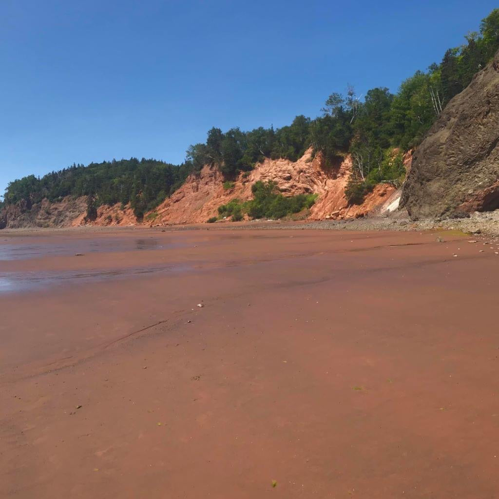 Crystals &amp; Dinosaurs! - 4 hrs.