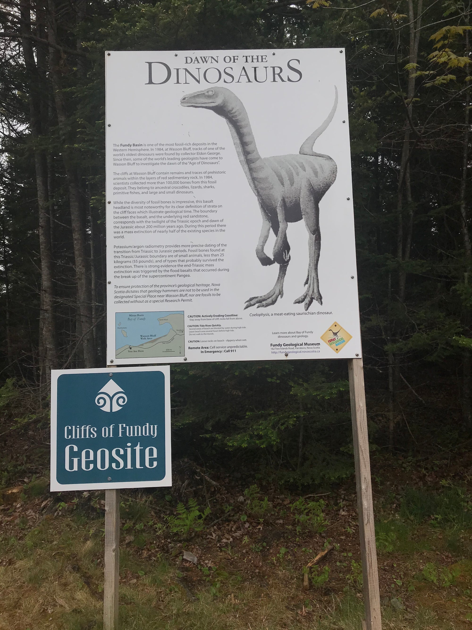 Crystals &amp; Dinosaurs! - 4 hrs.