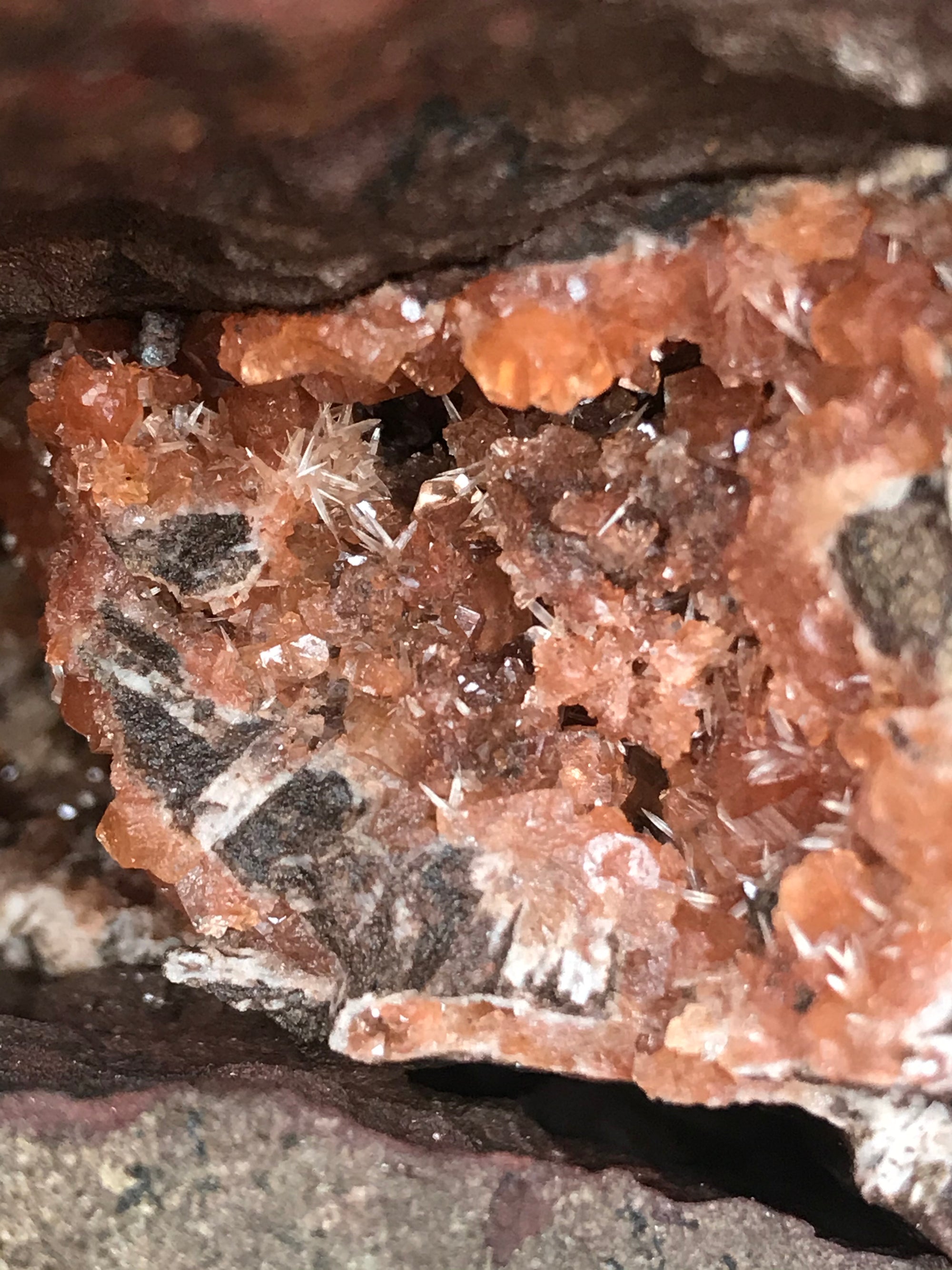 Crystals &amp; Dinosaurs! - 4 hrs.