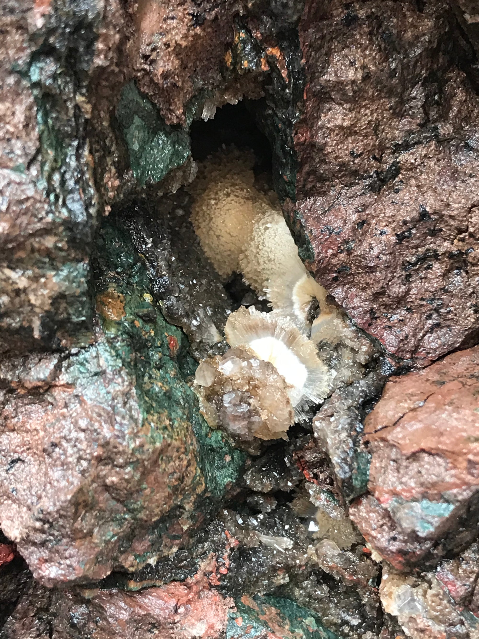 Crystals &amp; Dinosaurs! - 4 hrs.