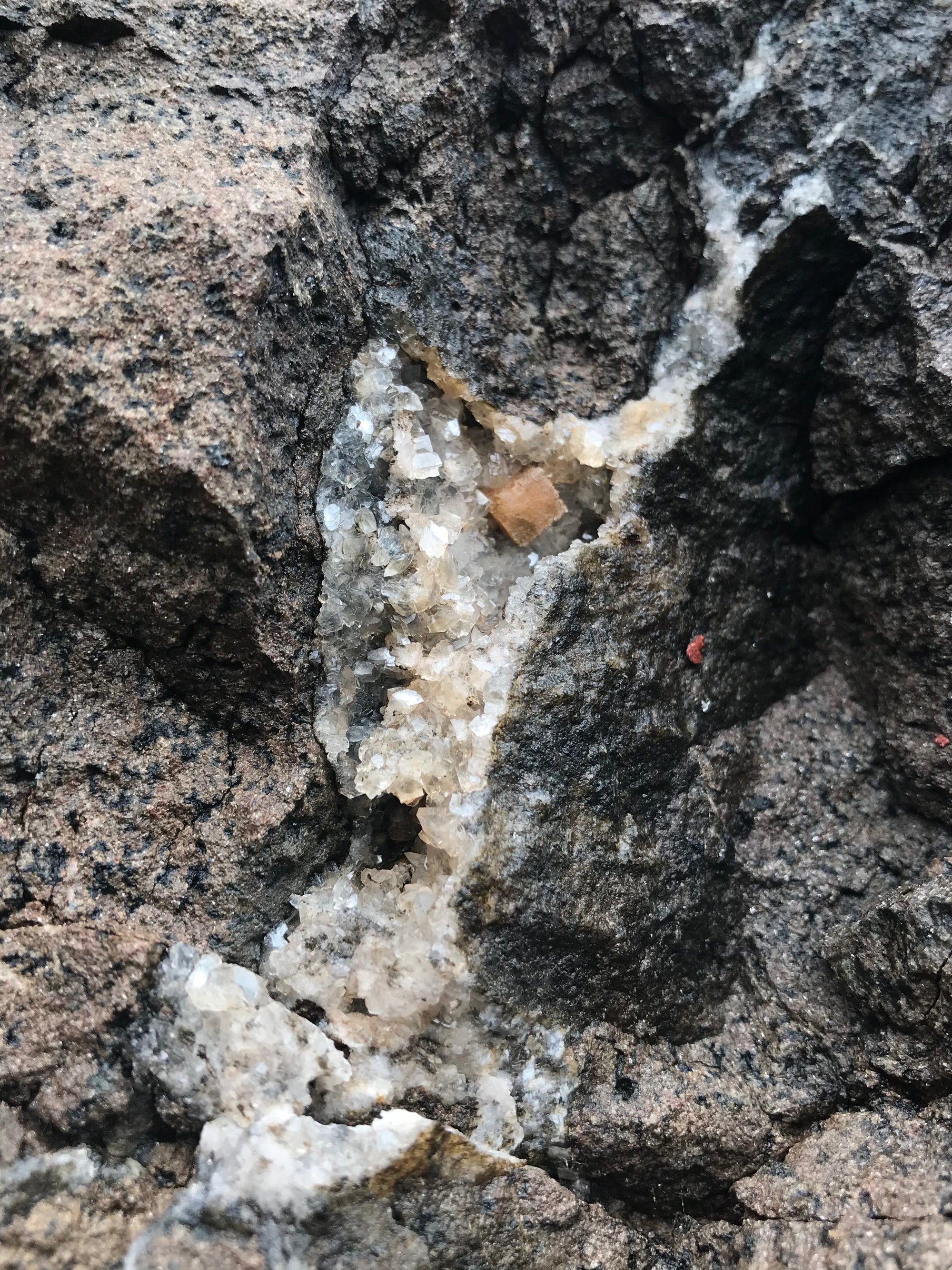 Crystals &amp; Dinosaurs! - 4 hrs.