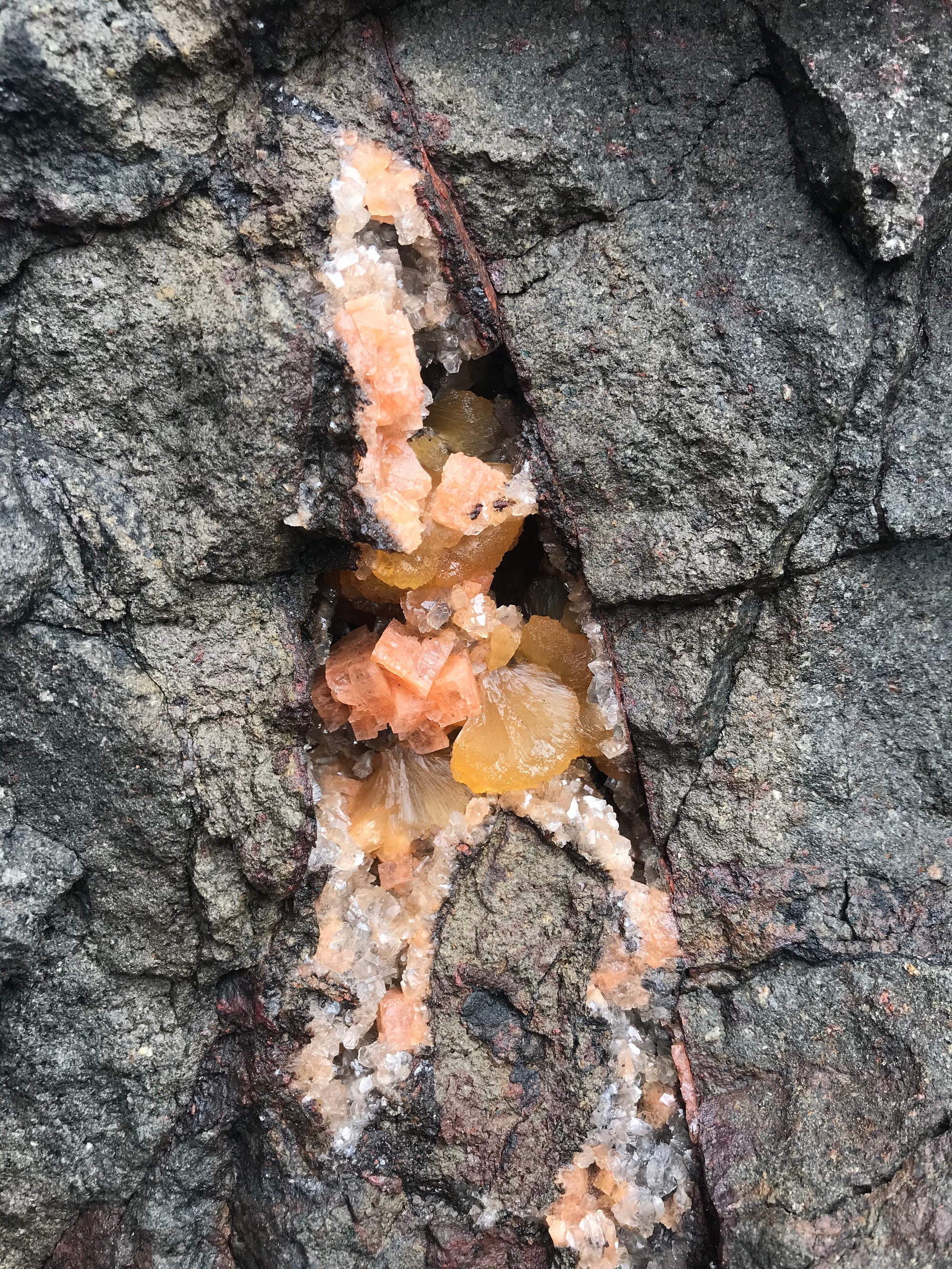 Crystals &amp; Dinosaurs! - 4 hrs.