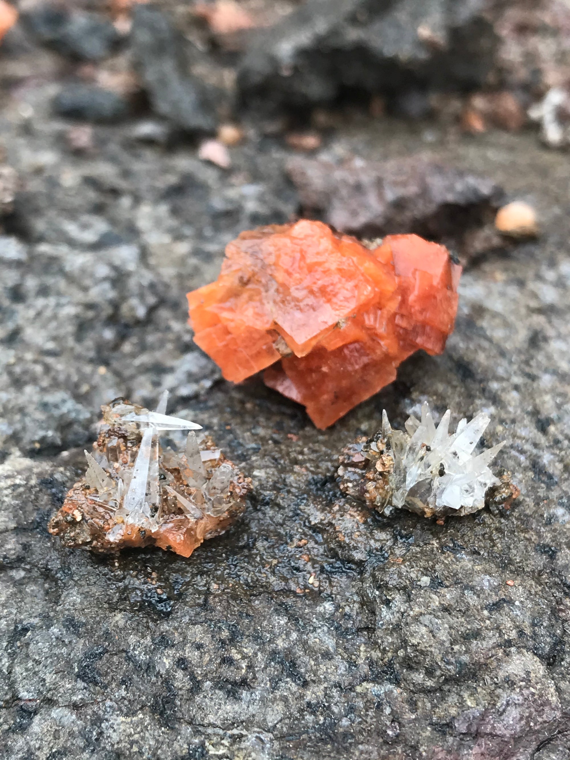 Crystals &amp; Dinosaurs! - 4 hrs.