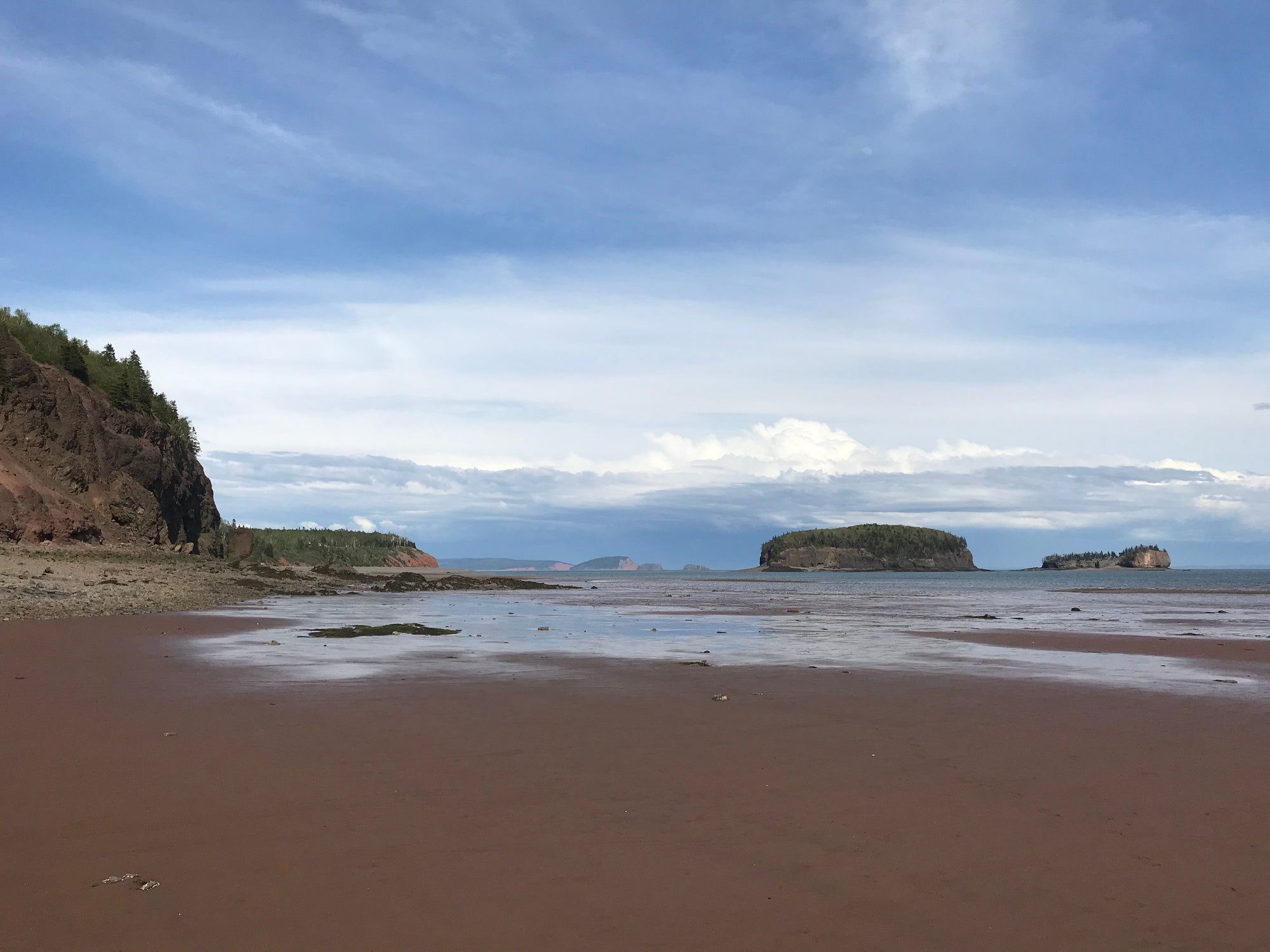 Crystals &amp; Dinosaurs! - 4 hrs.