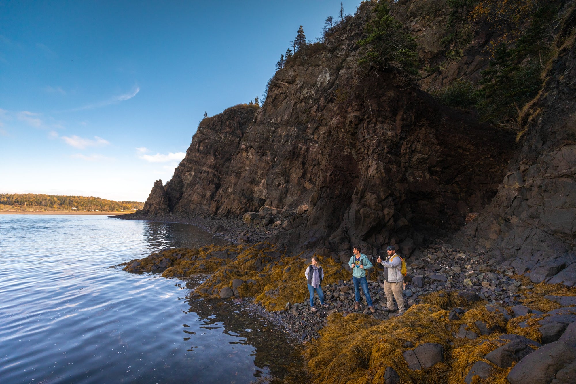 Treasure Island Gem &amp; Mineral Tour- 1.5 hr.
